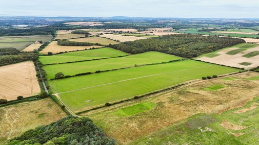 Heathland recovery at Mose Farm on the Dudmaston Estate in Shropshire